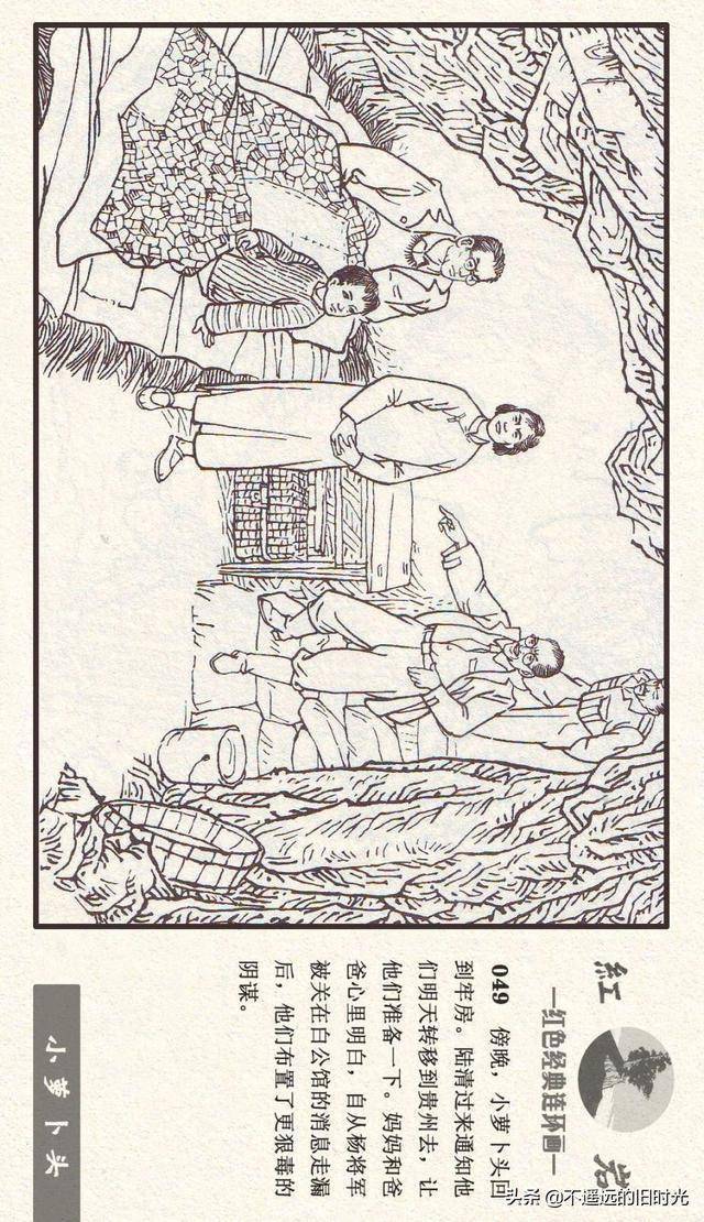 红岩之七小萝卜头河北美术出版社2011施肇祖周琳绘