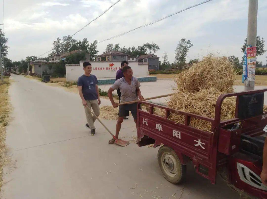 郸城县东风乡图片