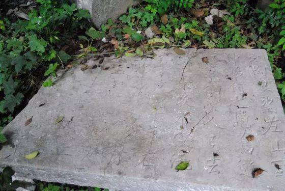 在先秦文献和《史记》中,竟记载有20处菏泽古墓葬!