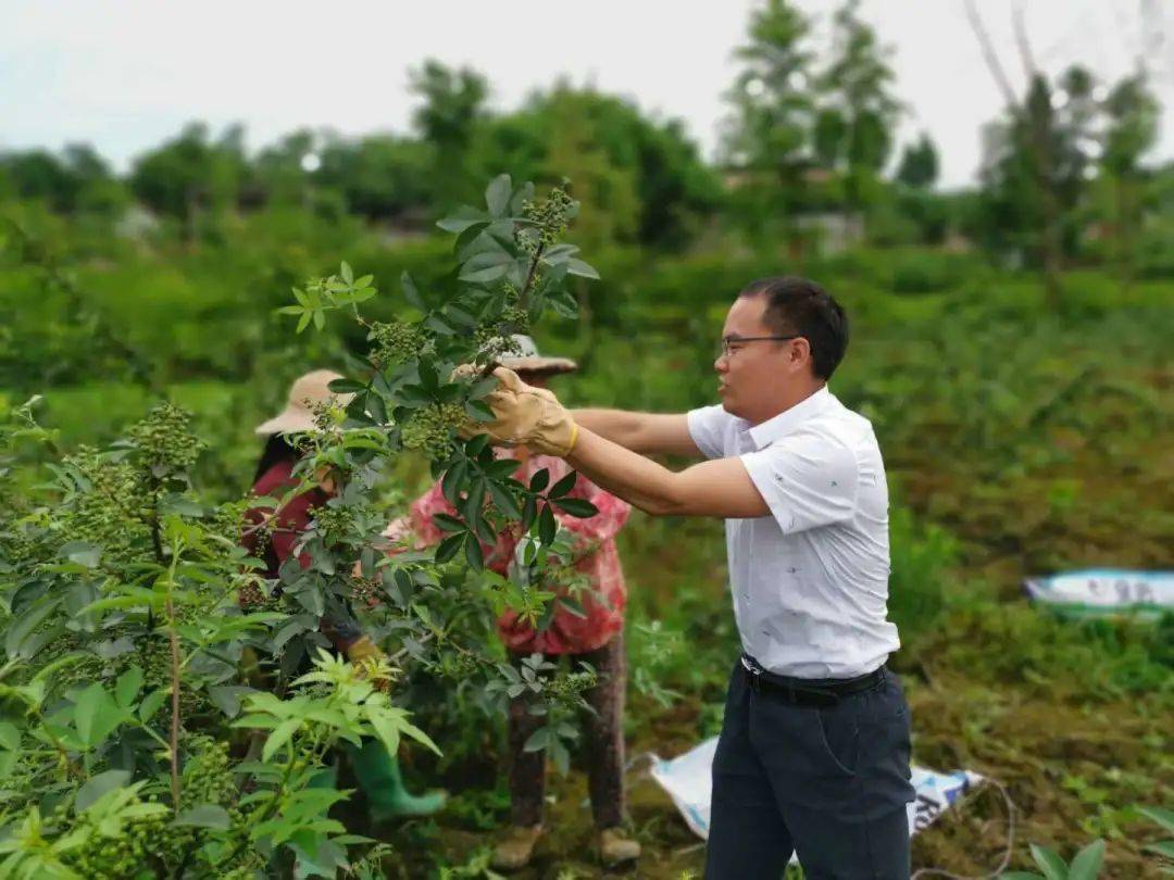 "蜀乡300优秀农技员"第三期,快为广安,遂宁,资阳,内江的农技员点赞