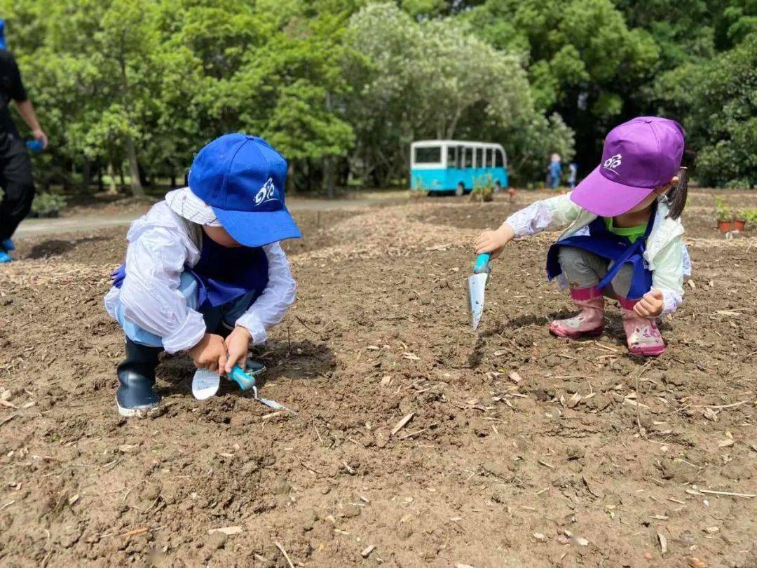 "小小园艺师"上周六集体复工复产!