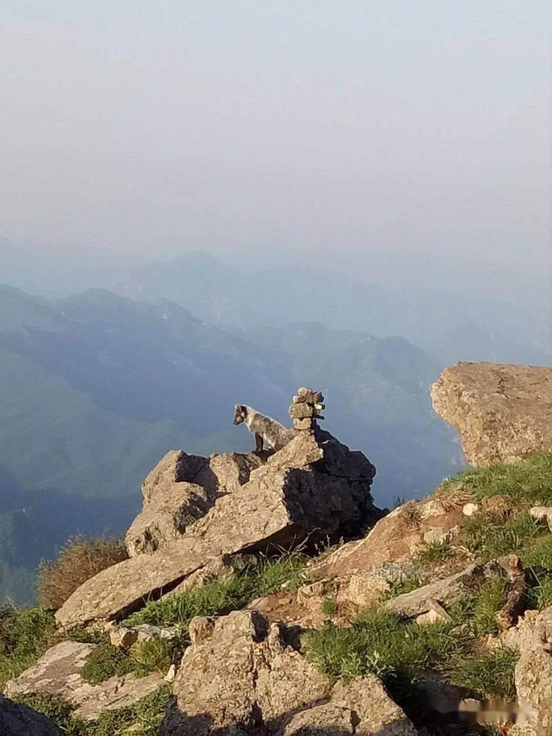 夜爬灵山赏星观日出北灵韭菜香环保励志穿越拉练中国梦登山队第