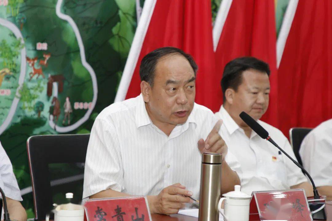 栾川县人民政府副县长王冲,栾川县文化广电和旅游局局长李文超,重渡沟