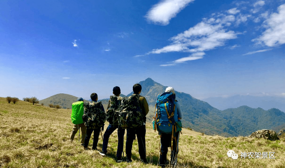 神農架野人五項運動登臨老君山