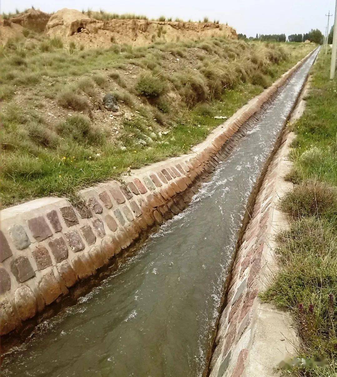 对苏油口渠系,马蹄河渠系,河牛口渠系的输水渠道及建筑物等进行全面