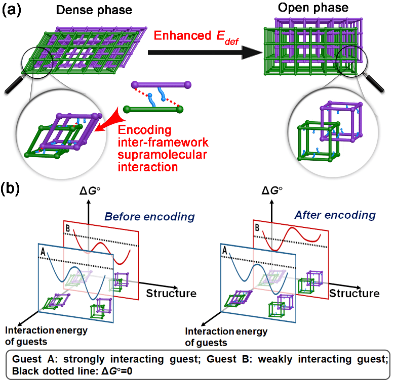 京都大学susumu kitagawa教授团队合作首次提出了控制pcp材料柔性的新