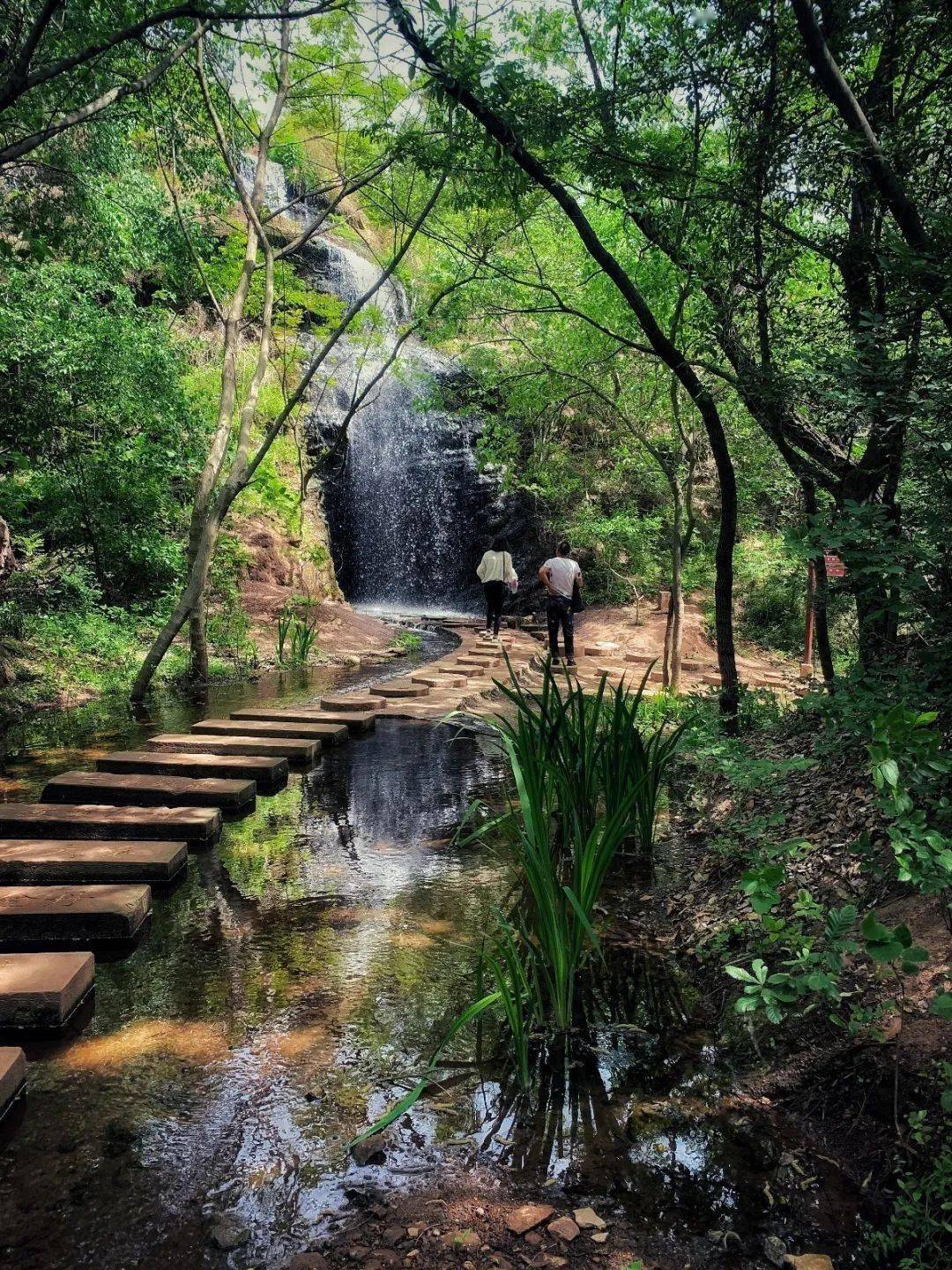 一到夏天,马陵山就美成了"绿野仙踪"!