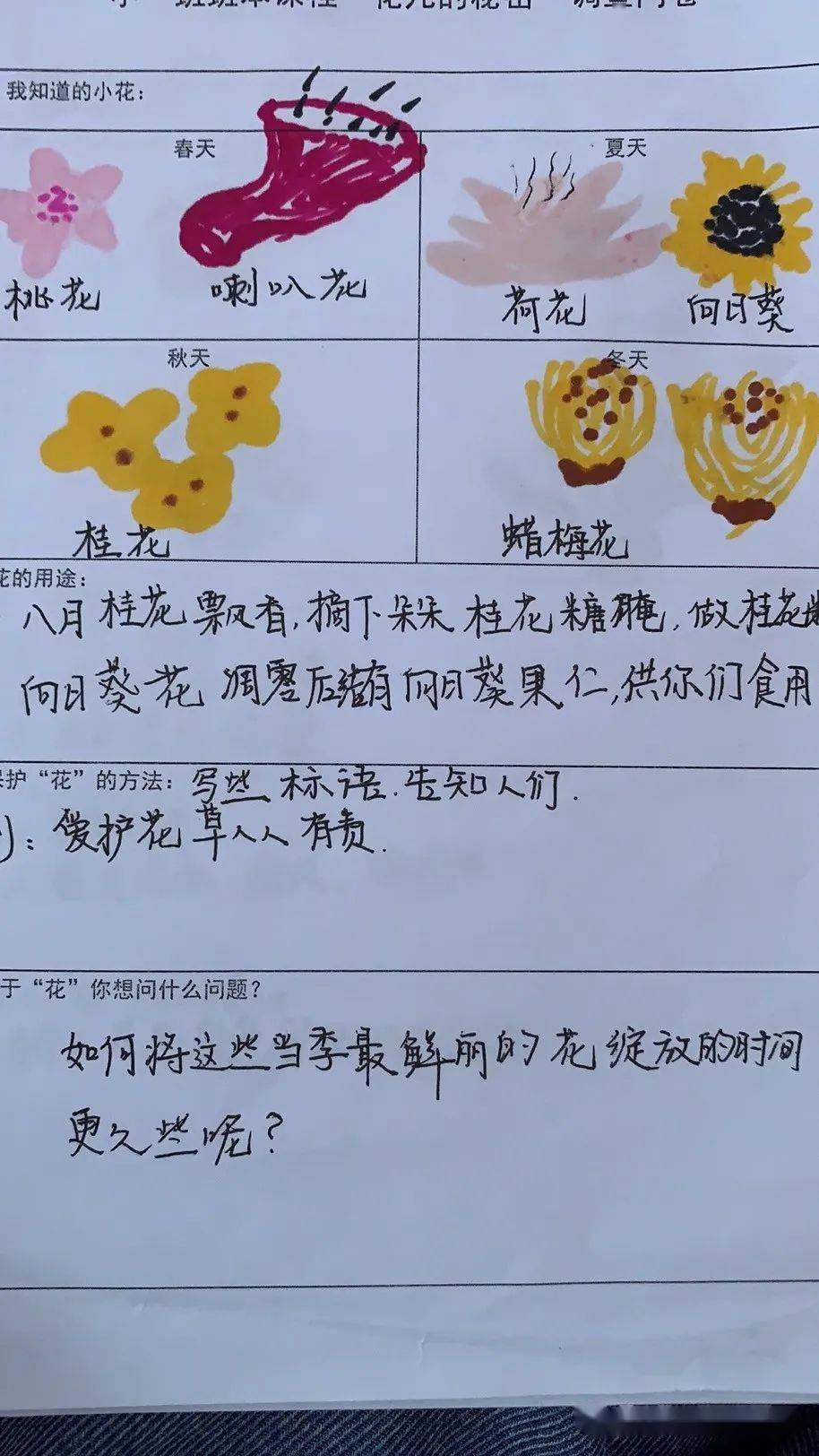 班本课程花花世界永兴佳园幼儿园小一班主题活动