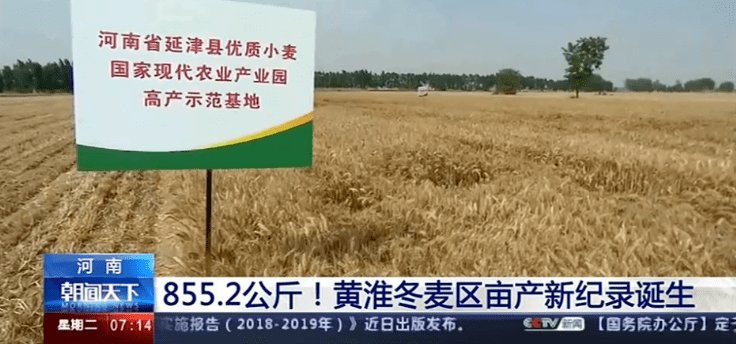 全球粮食危机下中国粮产不降反增看看延津的贡献有多大