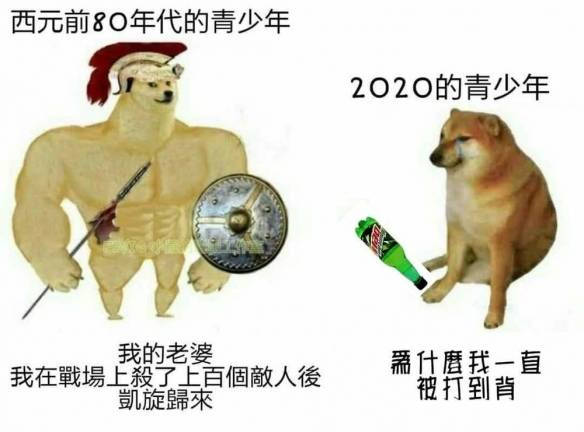 肌肉柴犬与小废柴梗图走红 爆笑内容引网友疯狂流传