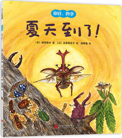 融合文化送教上门绘本书目认知发展领域50本