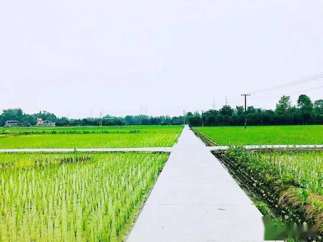 有一种乡村美叫原乡和林