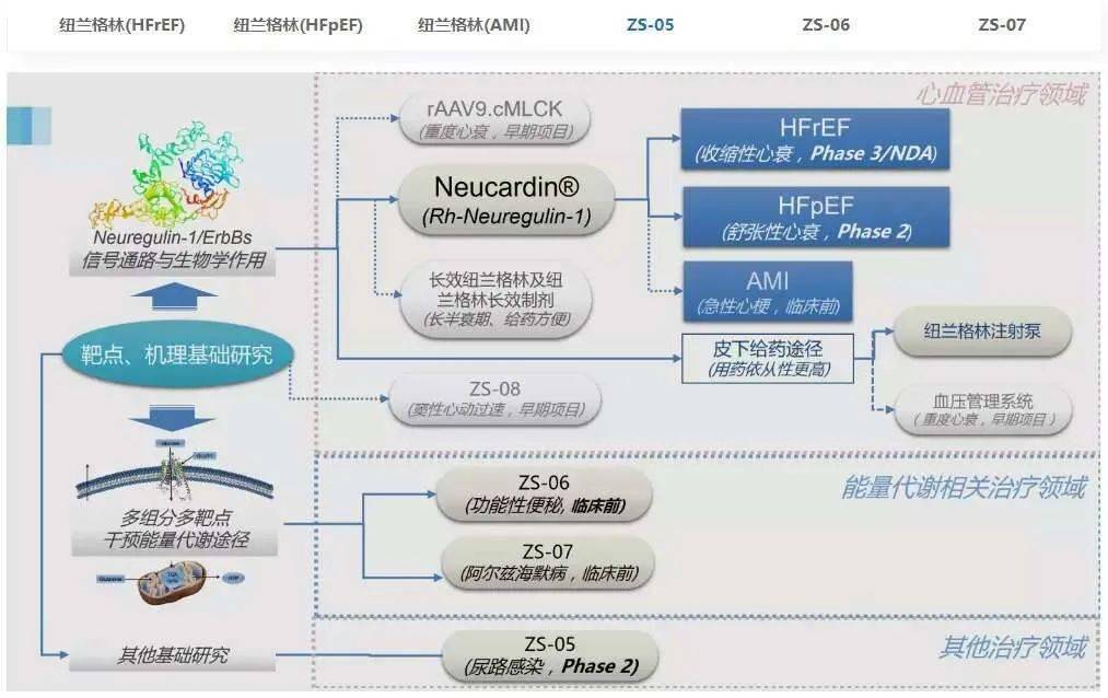 新三板优质企业之三(泽生科技)_纽兰格林