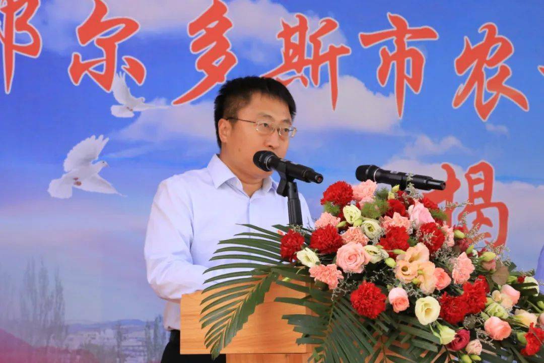 王枫任鄂尔多斯(达旗王枫工作简历)