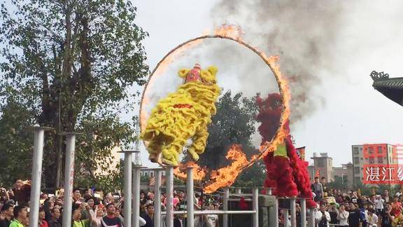 湛江年例舞双狮惊险高桩钻火圈为舞狮小哥