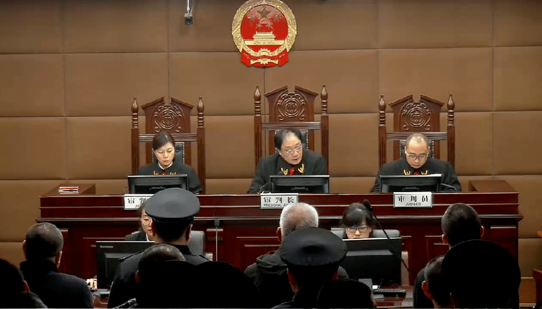 莲池区法院院长唐玉庆审理丁立新等33人涉黑案件