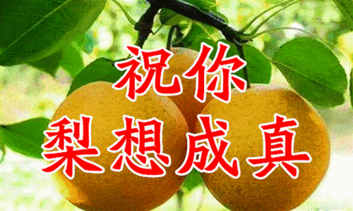 500_300gif 动态图 动图