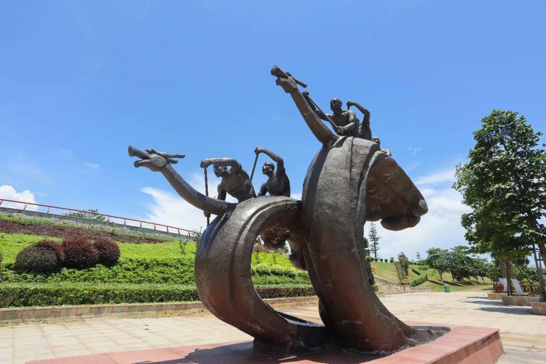 视频罕见五枝并蒂莲齐现白坭中社村想一睹芳容的速来