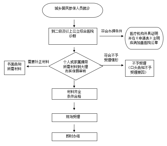 城乡居民慢性病办理流程_审核