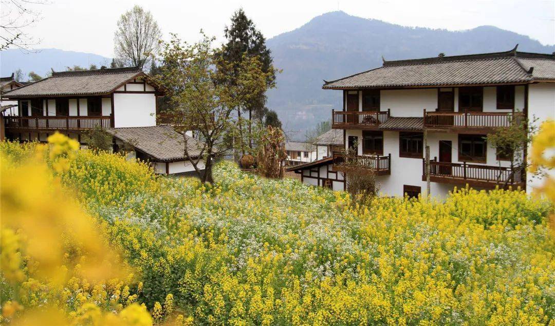 通江两个村晋升"省级"乡村旅游重点村?请记住村名_王坪村