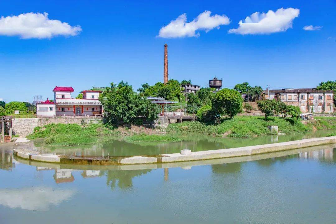 葵潭牛头大池最近变怎样了