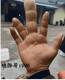 224_277gif 动态图 动图