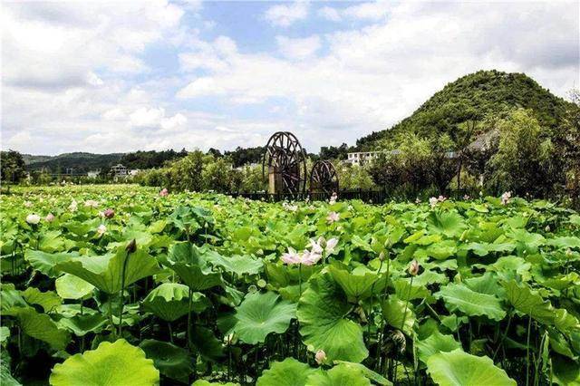 贵阳白云蓬莱仙境图片图片