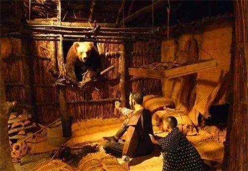 绝对堪比洪水一样凶猛,在1915年,日本北海道就发生了"三毛别罴事件"