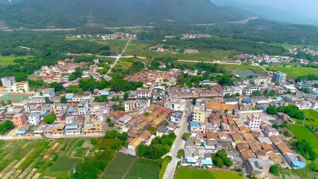 四会市大飞水产养殖场位于罗源镇罗源村委会壮坑水库脚下,占地面积25