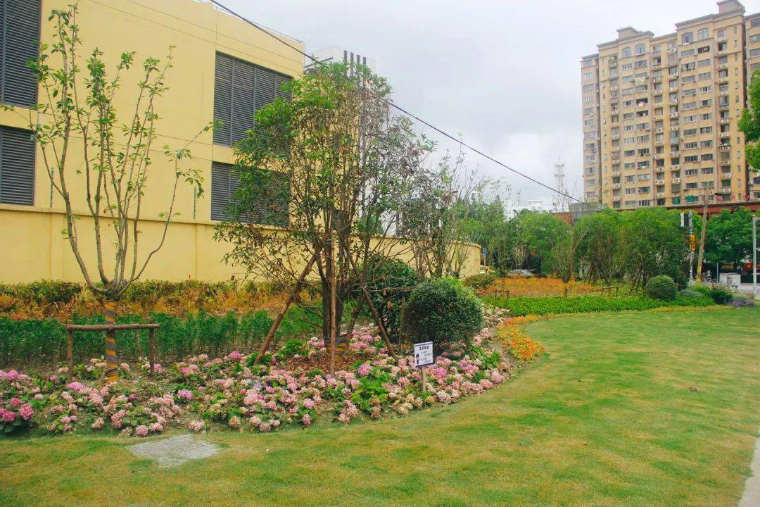 "转角遇见景"!这个镇新增4处缤纷街角绿地,快来看看吧!_路口