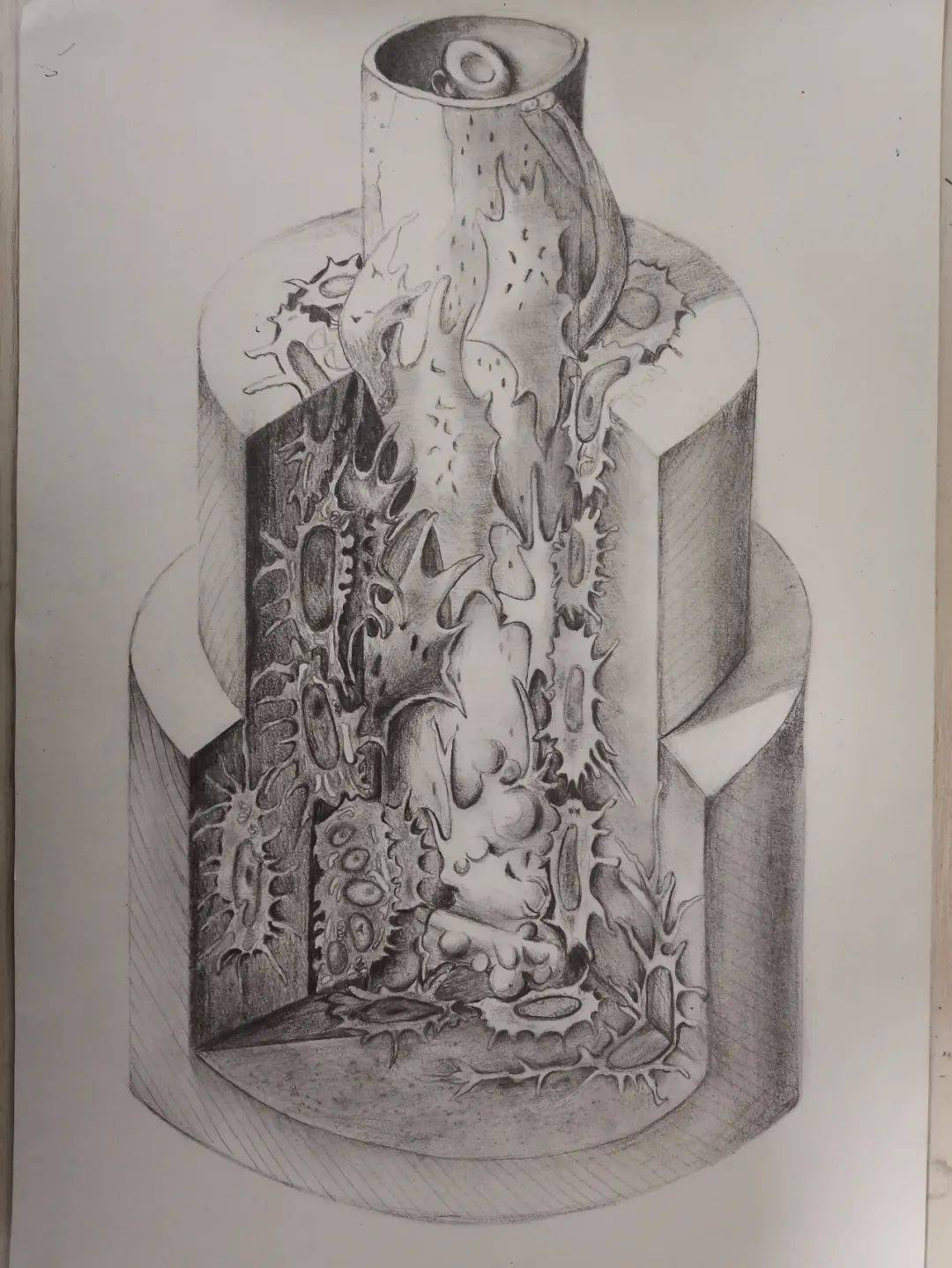 《骨单位的立体结构图》作者:付红雪 19级眼视光医学班指导老师:王月