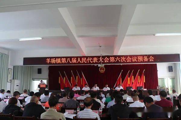 的热情和高度负责的精神,听取并审议通过了羊场镇人民政府工作报告,羊
