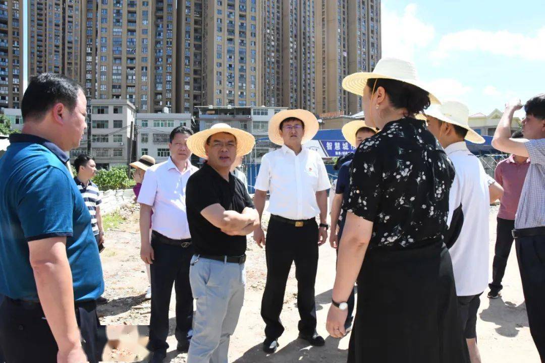 区领导林勉建,林武,林斌,史李春,魏志谋,余根钦,区各相关职能部门负责