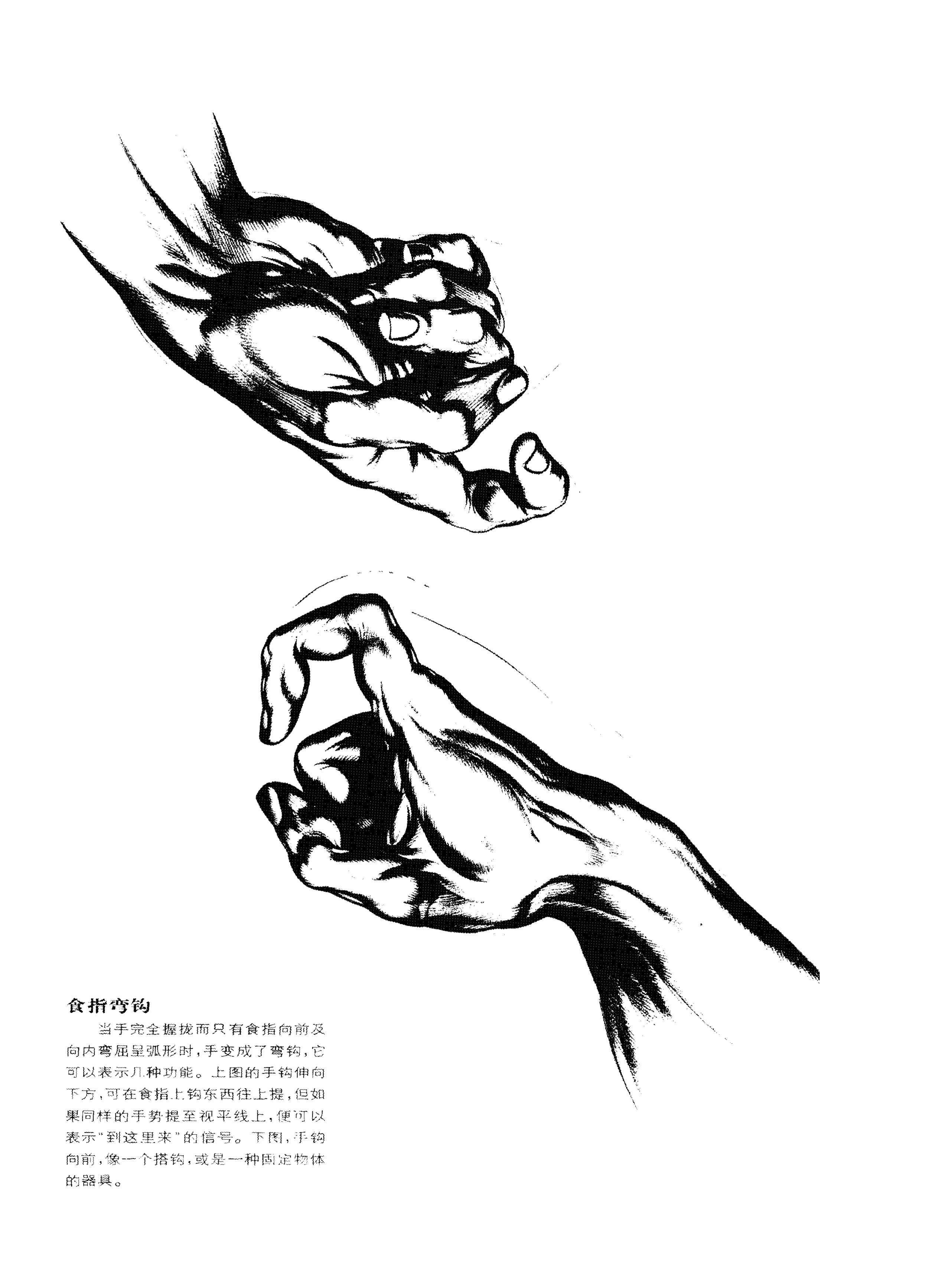 动态素描手部结构充当工具的手伯恩霍加思