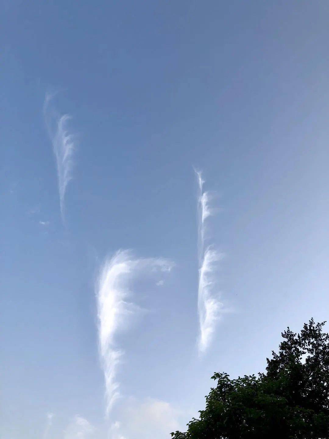 颓了一周之后决定要调整状态,于是在下完暴雨的傍晚背着相机出来找