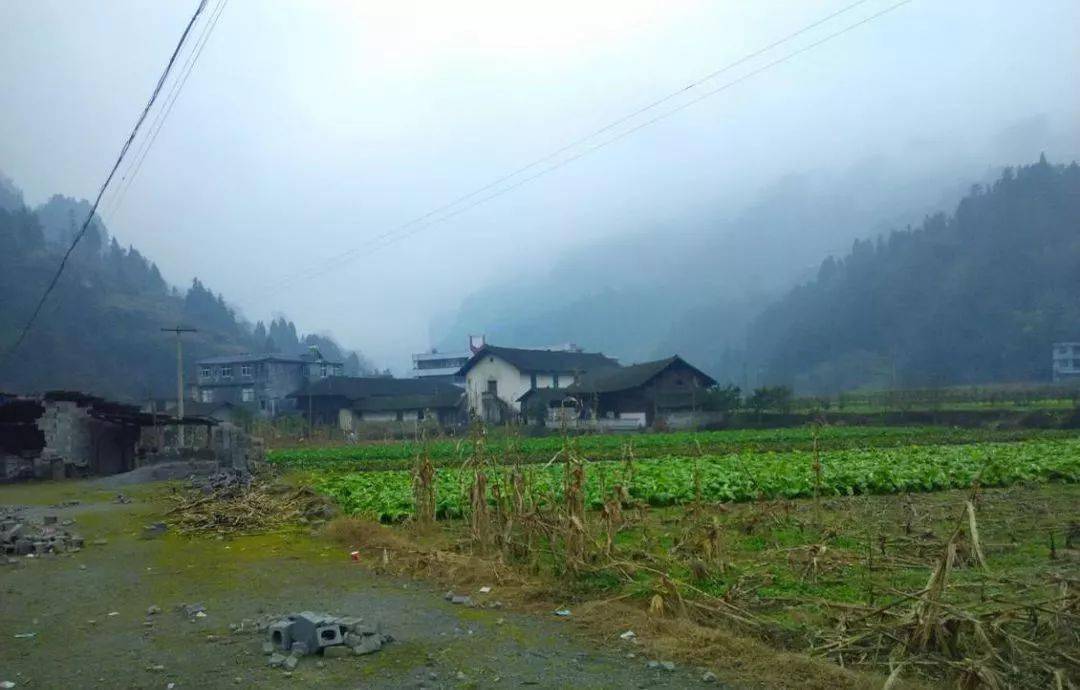 陳氏家族世世代代都居住在 咸豐縣唐崖鎮(原名:尖山鄉)小水坪村