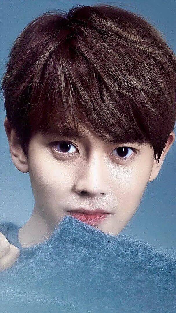 手机壁纸任嘉伦