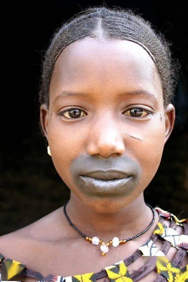 非洲纹唇图片