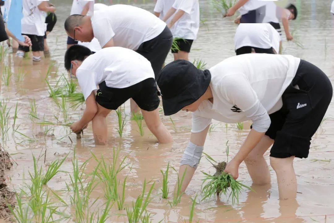 富春山居61味道山乡播种梦想收获希望春江街道开展新