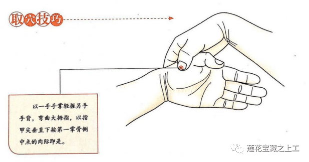 芒种之三侯反舌无声