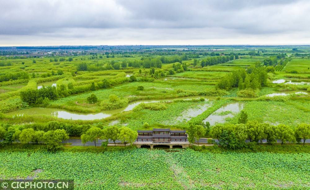 2020年6月12日航拍的江蘇省宿遷市泗洪縣洪澤湖溼地.