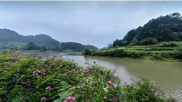 雪峰山地处涪陵区同乐乡,平均海拔高度在1000米以上,森林覆盖率达85%