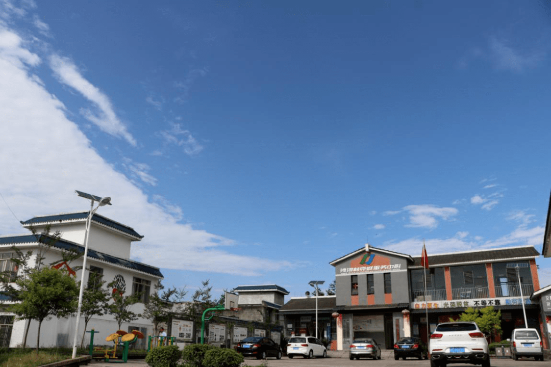 茶都名山万古镇沙河村走上黄金路咱村好致富