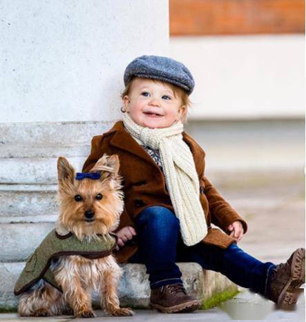个宝贝就开始属于他们一家四口的欧洲之旅~小男孩adrian和它的约克夏