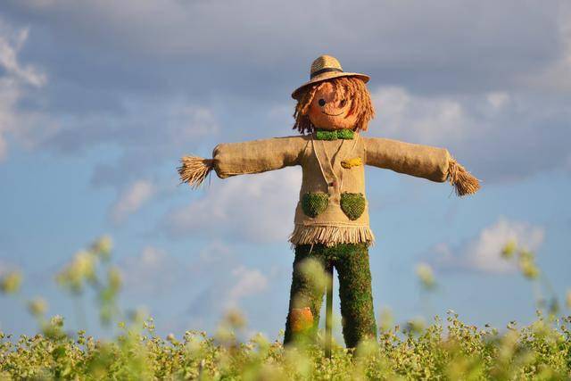 听!稻草人说话了,关乎人心关乎人性_人类