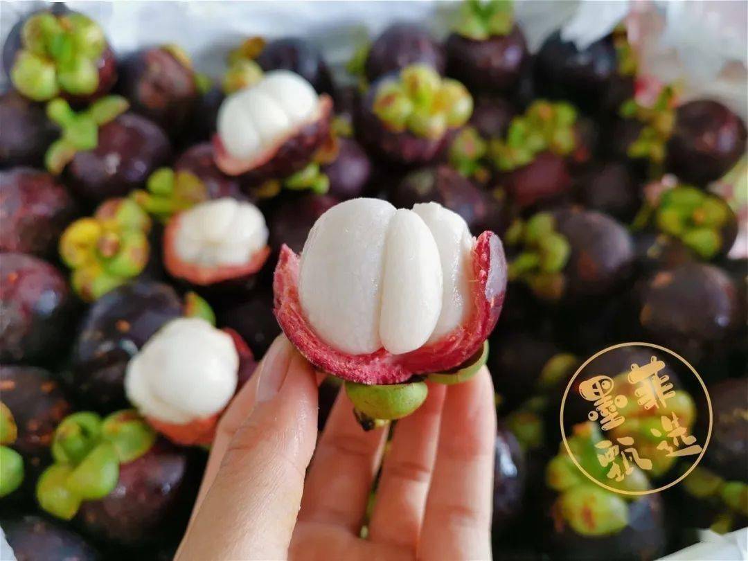 作为典型的热带水果,山竹有着"水果皇后"的美称,棕红色厚厚的外壳之下