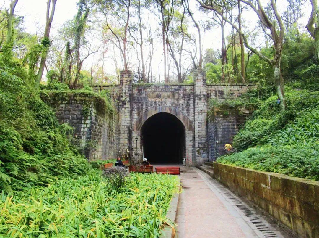 层层叠叠,阳光透过叶子缝隙穿透下来,越靠近隧道就越能感受一阵阵凉风