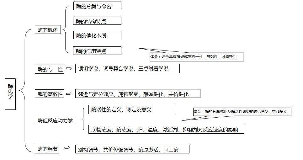 思维导图99生物化学知识体系