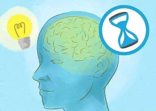 要想增强记忆力你需要._大脑
