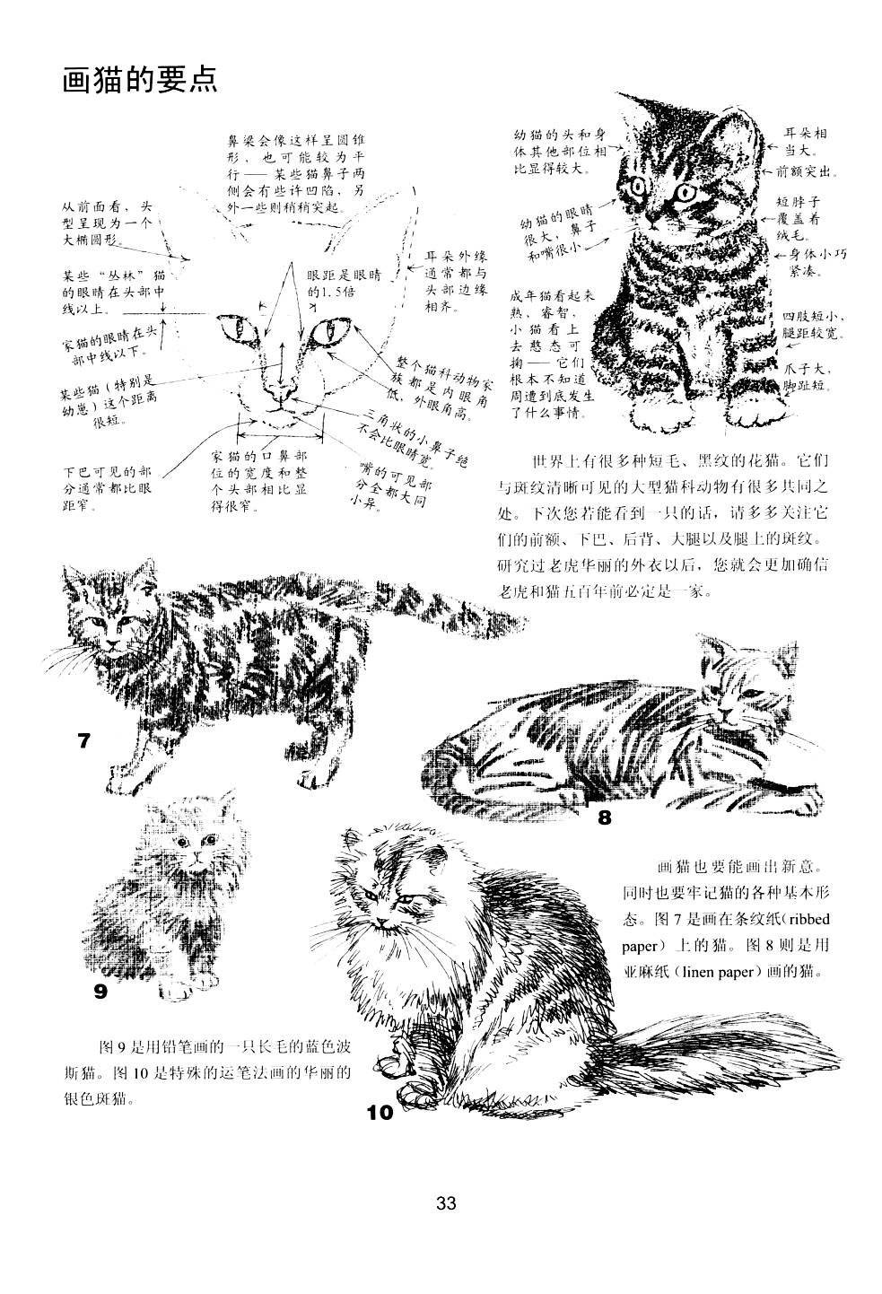 世界绘画经典教程：动物素描-搜狐大视野-搜狐新闻